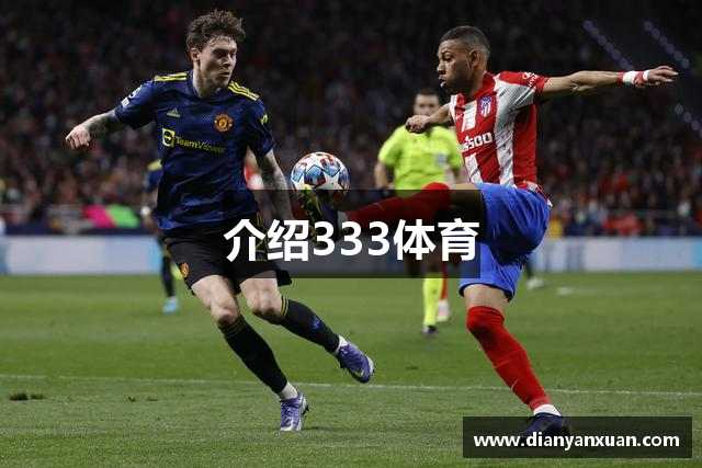 介绍333体育